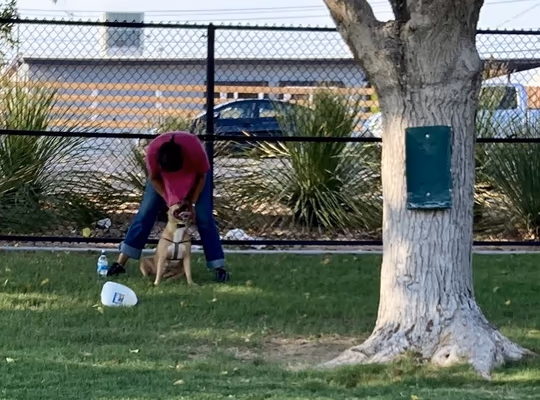 Jaycee Dog Park photo 2